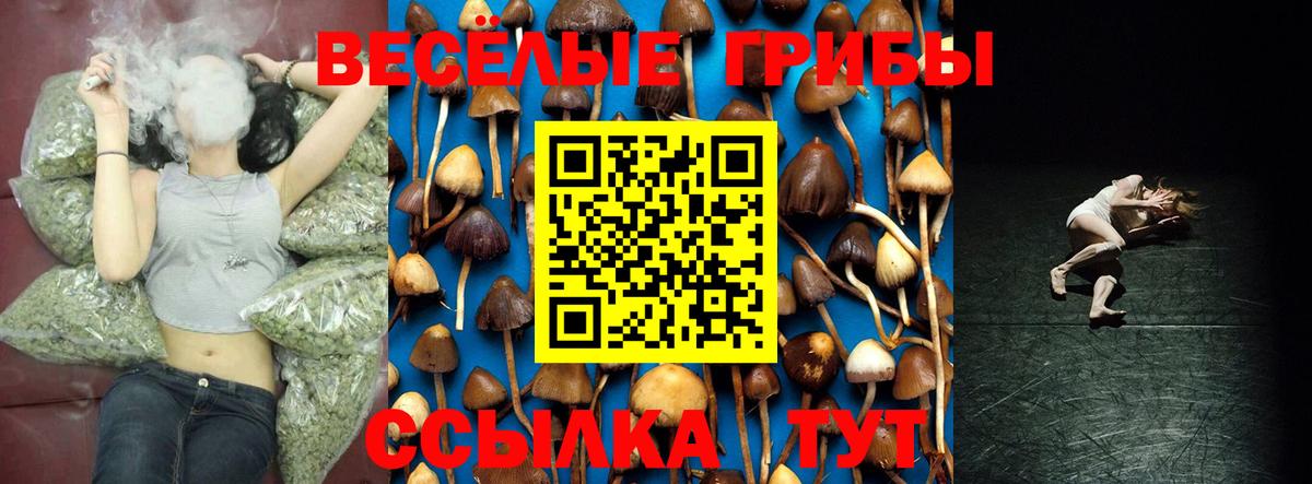Псилоцибиновые грибы Magic Shrooms  Псилоцибиновые грибы Cubensis  Вход с VPN  купить закладку  Карачаевск 